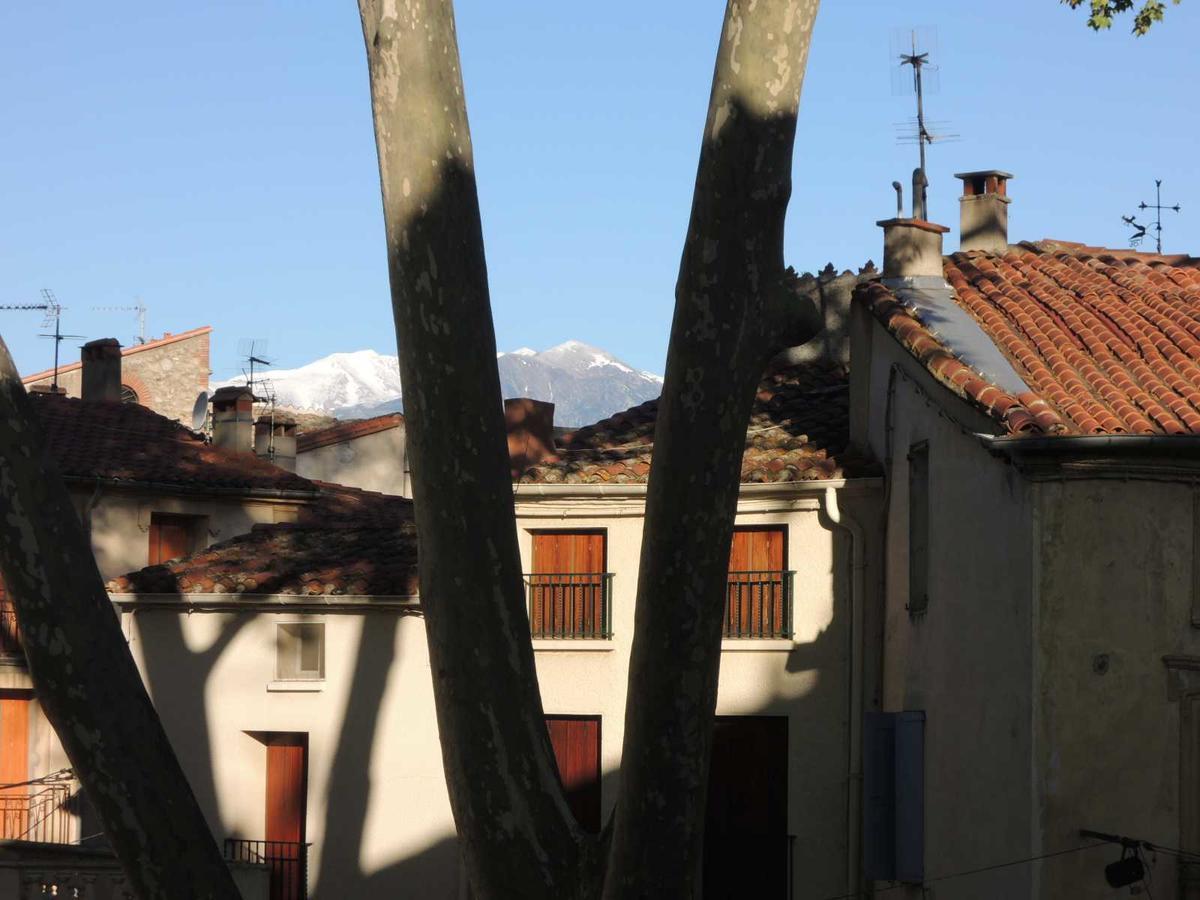 Hotel Des Arcades Céret Kültér fotó